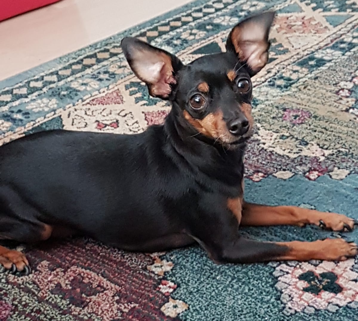 ettore