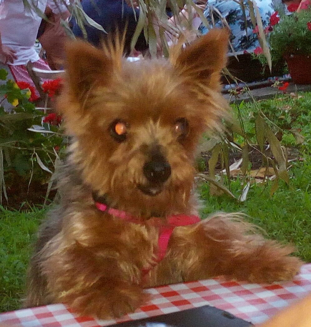 MILLY