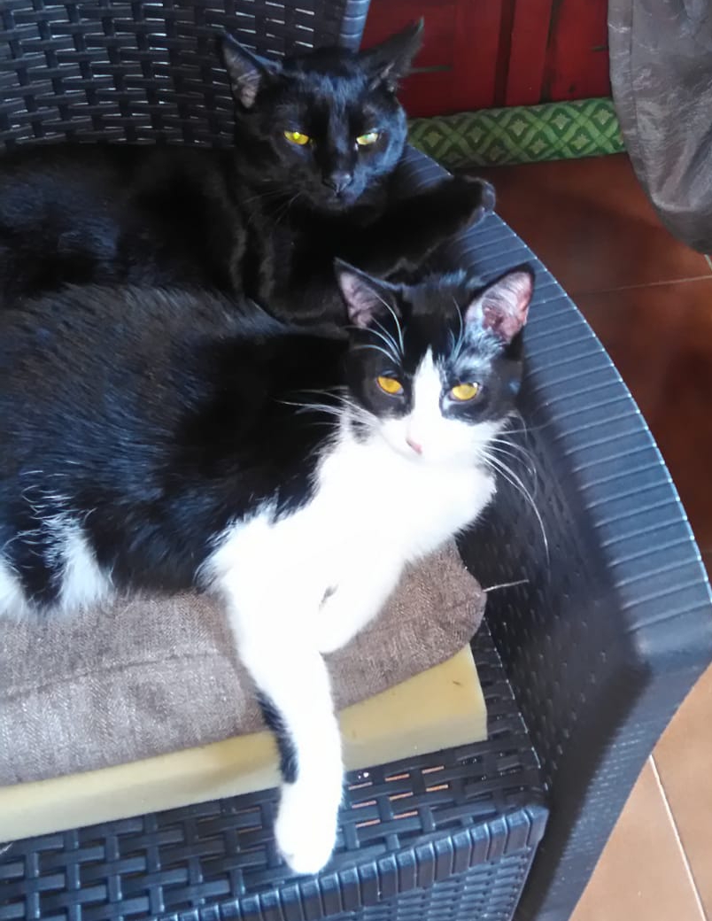 NERON E GUERRA