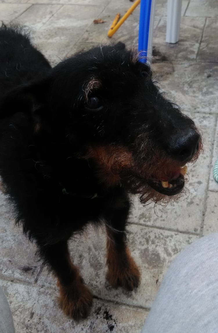 PIF