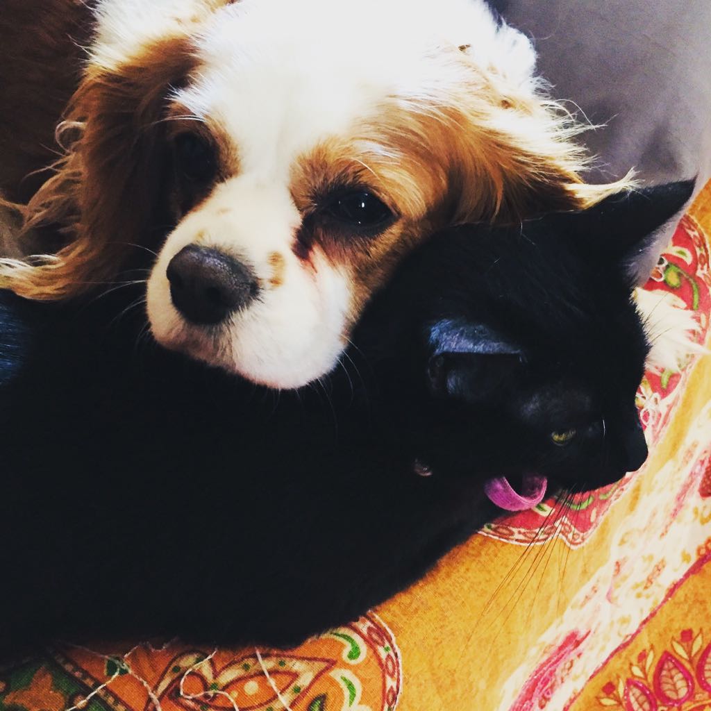 TIFFANY E MARGOT
