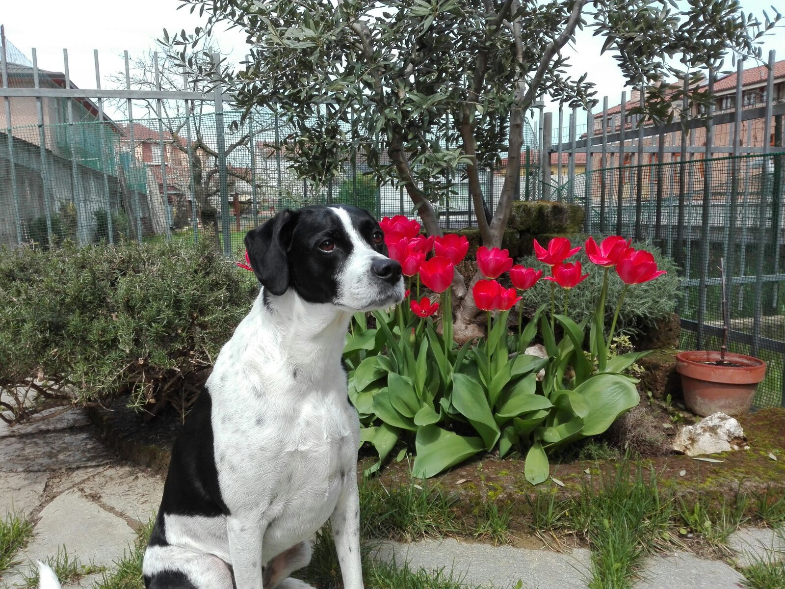 CLOE 2