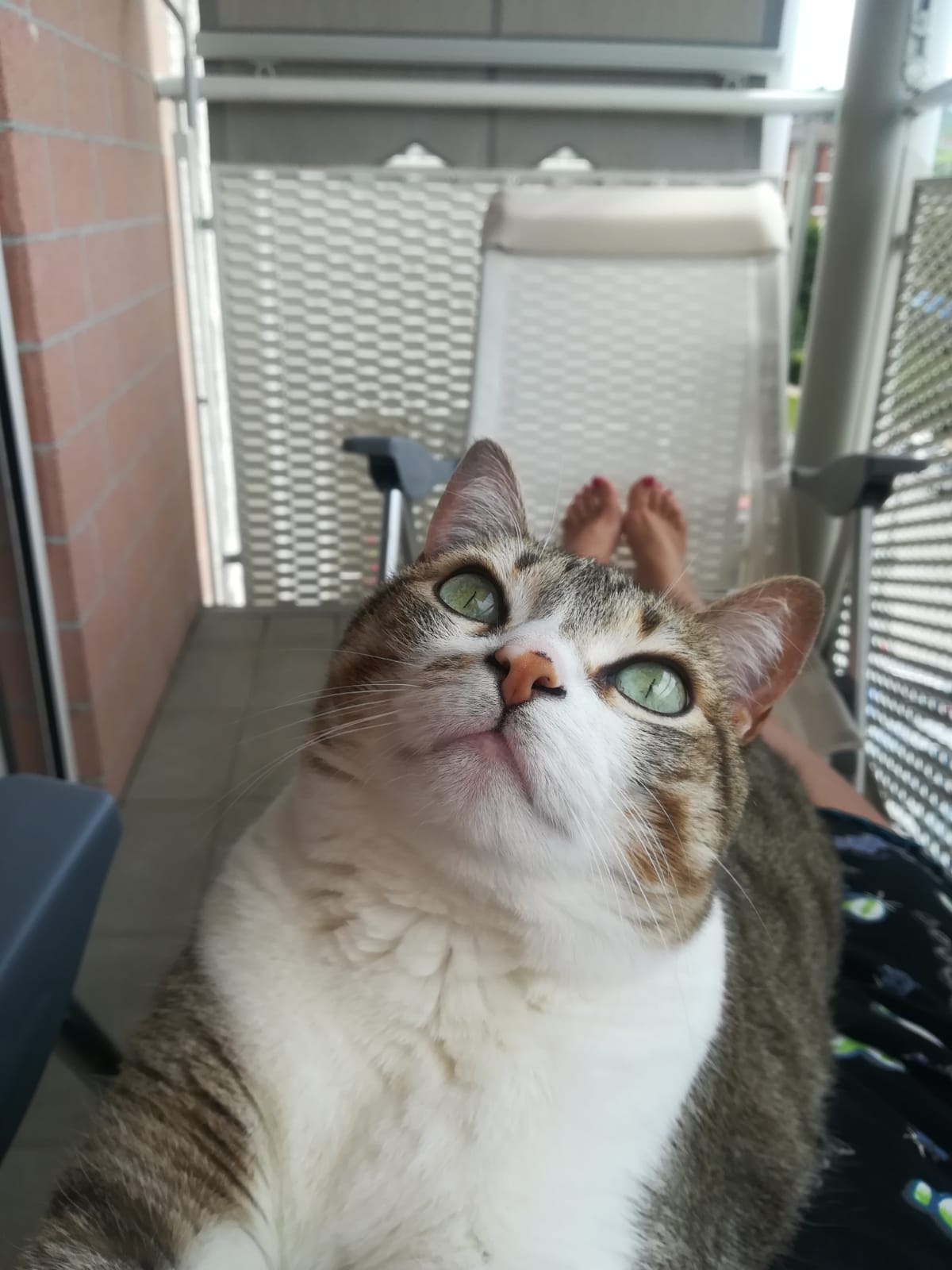 MIA2
