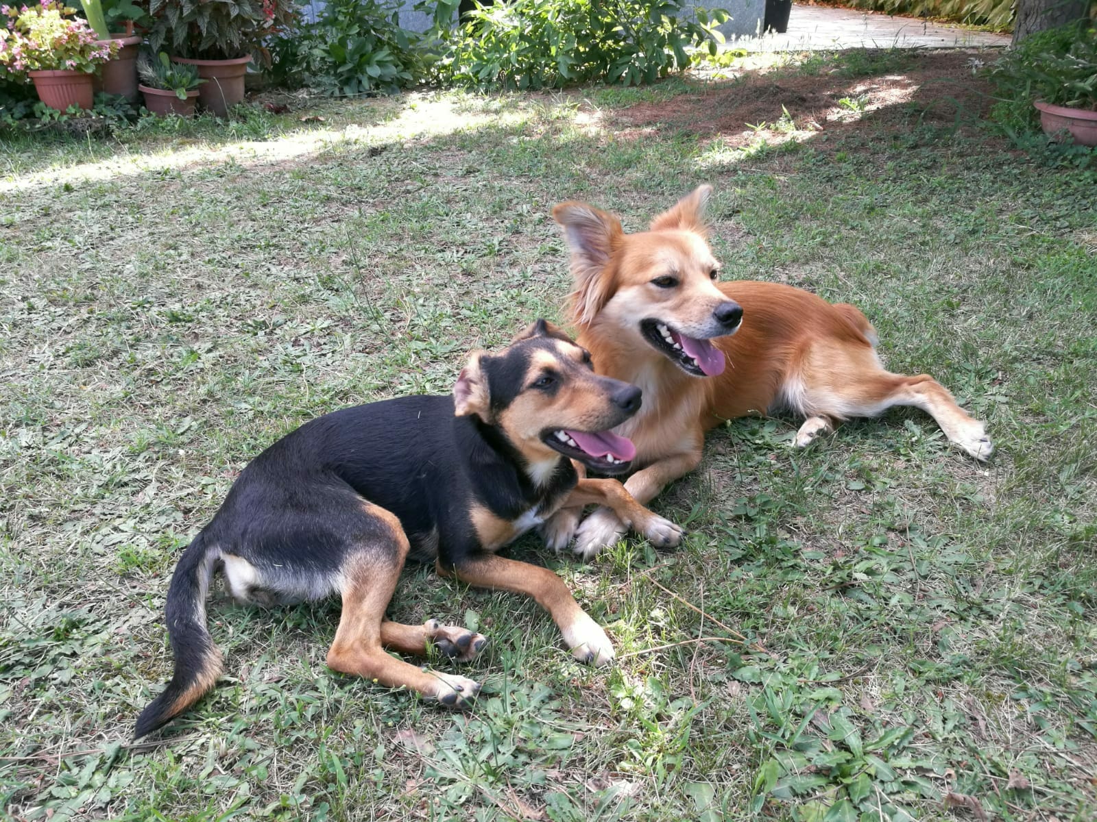 CANDY E KAILA