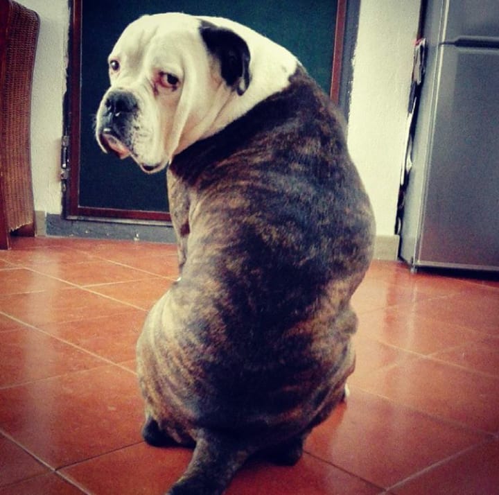 TYSON