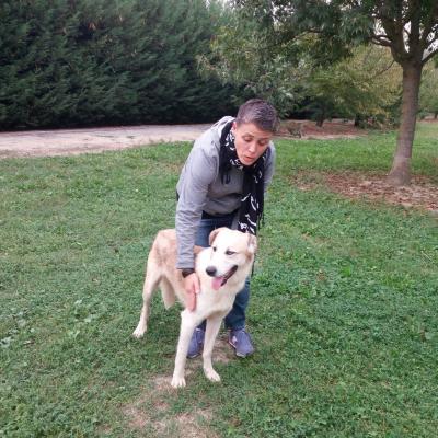 Zar è stato adottato ,ora corre felice in un grande parco