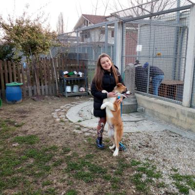 Questo meraviglioso cucciolo ha trovato unacasa euna famiglia,buona vita Back