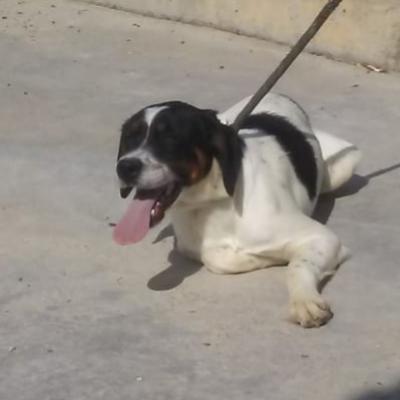 nerone