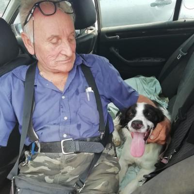 DOC, fortunello! sei stato poco con noi in canile! Buona vita bellissimo!