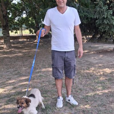 E pian piano proseguono le adozioni. Anche il tenerissimo Billy ha trovato casa!